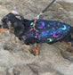 Waterproof Dachshund zipped jumper Softshell Dog Coat Mud Repellent.