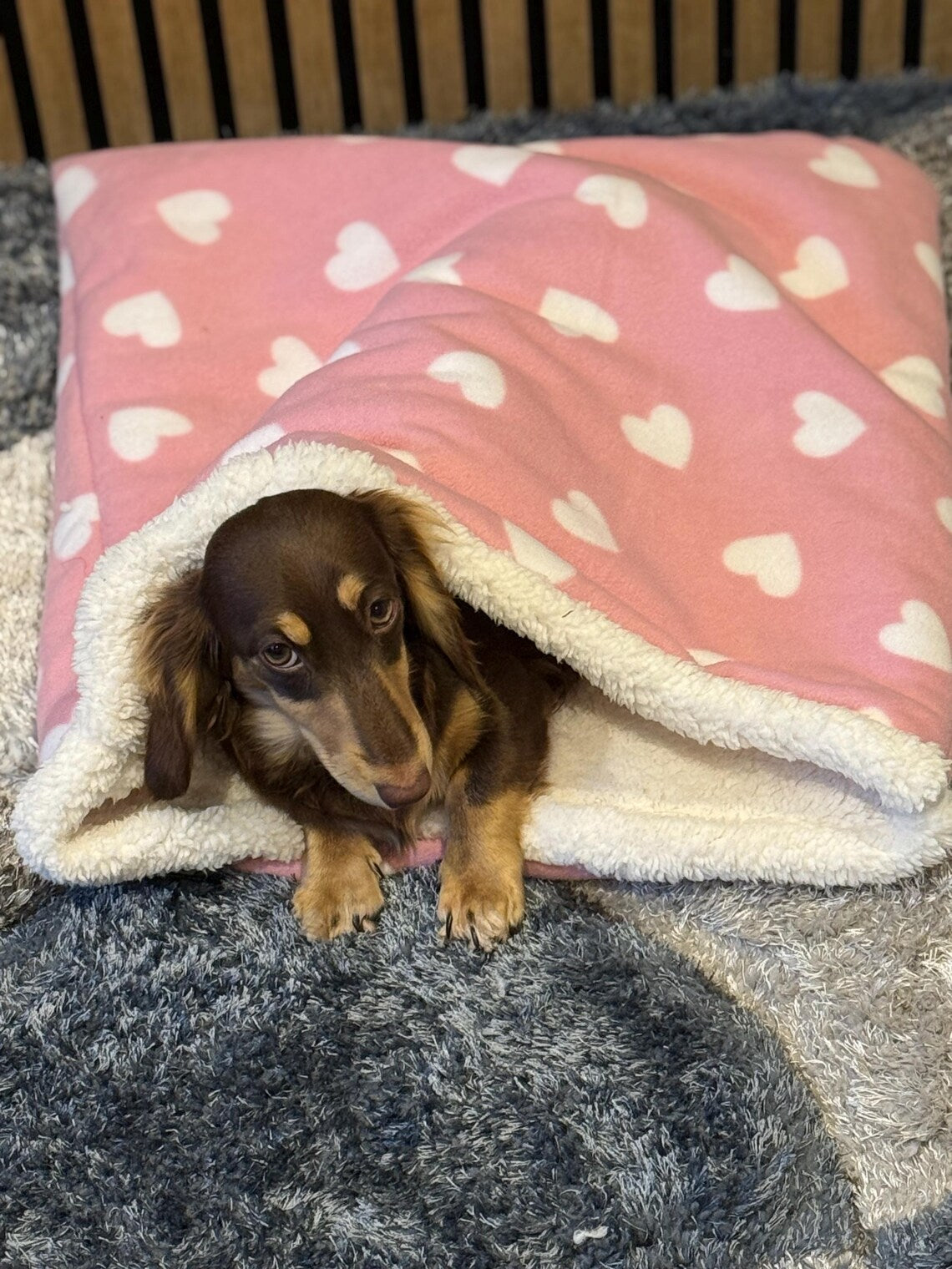 Padded Polar Fleece Dog Snuggle Sack: Dachshund Burrow Bed.