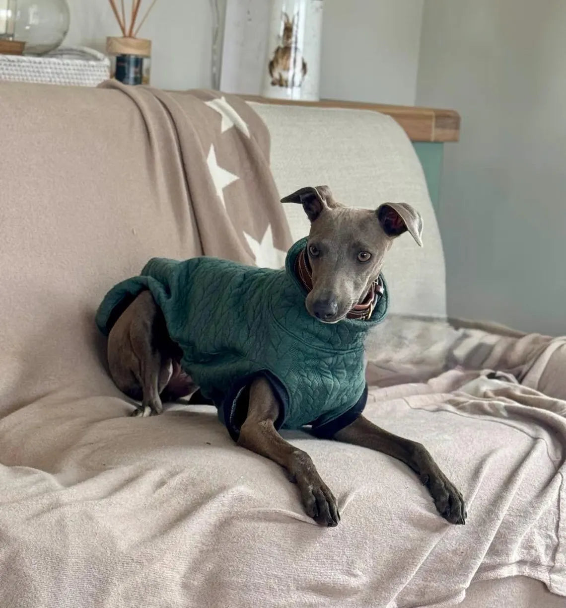 Cable Knit Fleece Italian Greyhound Jumper: Cozy Thermal Dog Fleece.