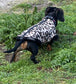 Leopard Print Dachshund Fleece Jumper: Zipped Softshell, Water Resistant.