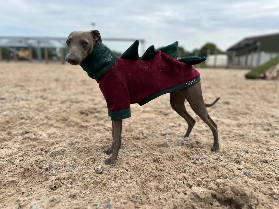 Italian Greyhound Fleece Jumper: Dino Leg, Water & Mud Repellent.
