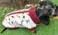 Dachshund Print Softshell Fleece Dog Jacket: Waterproof Jumper.