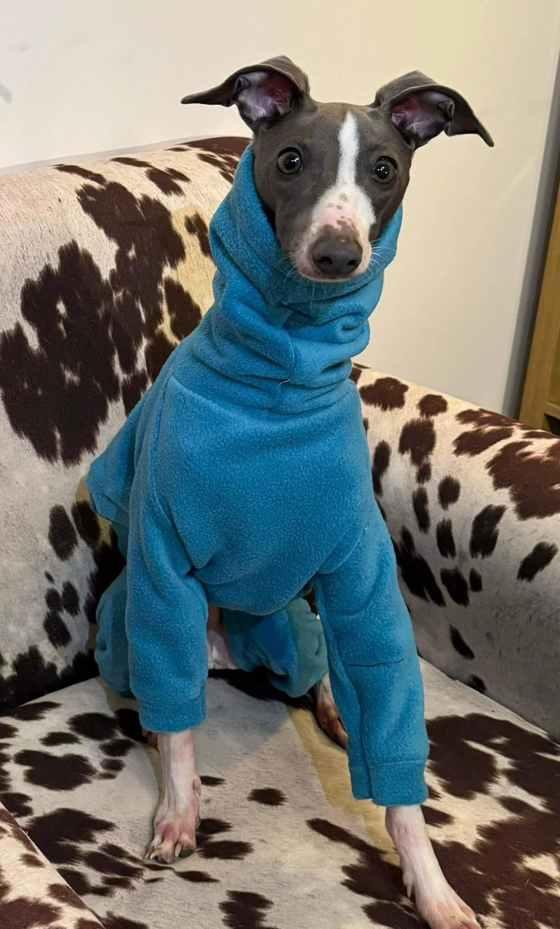Italian Greyhound Fleece Onesie: Water & Mud Repellent Iggy Jumpsuit.