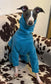 Italian Greyhound Fleece Onesie: Water & Mud Repellent Iggy Jumpsuit.