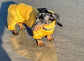 Mini Dachshund Neoprene Onesie: Stretchy Dog Jumpsuit