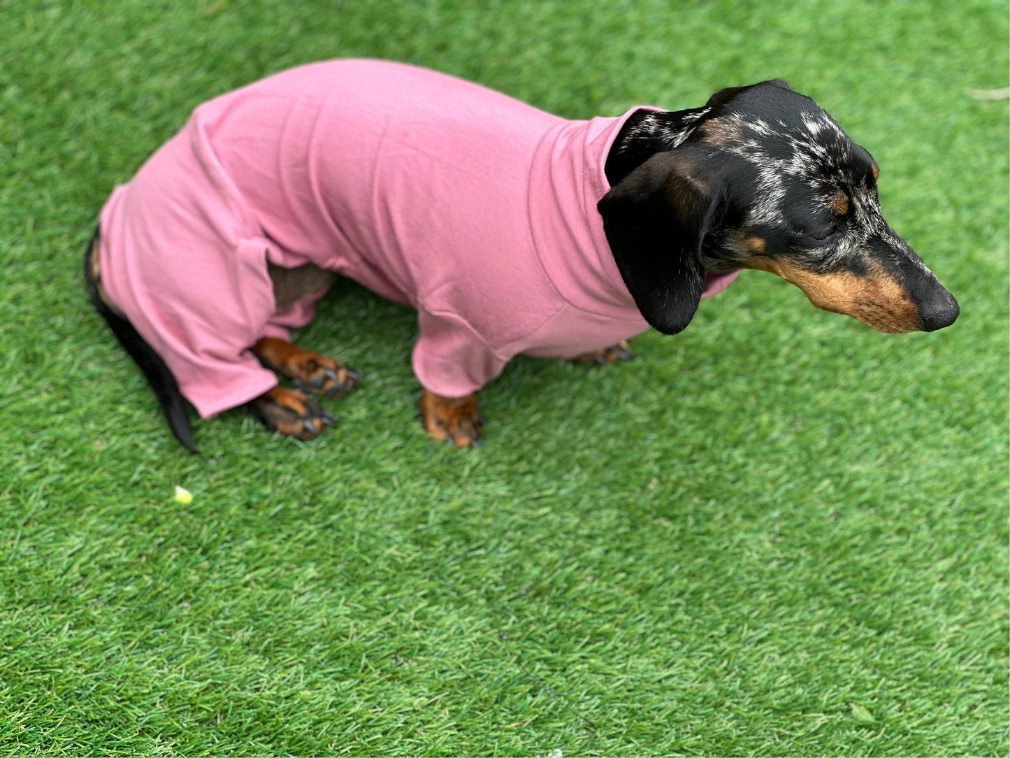 Dachshund Cotton Jersey Onesie: Cooling Pajama Jumpsuit