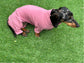 Dachshund Cotton Jersey Onesie: Cooling Pajama Jumpsuit