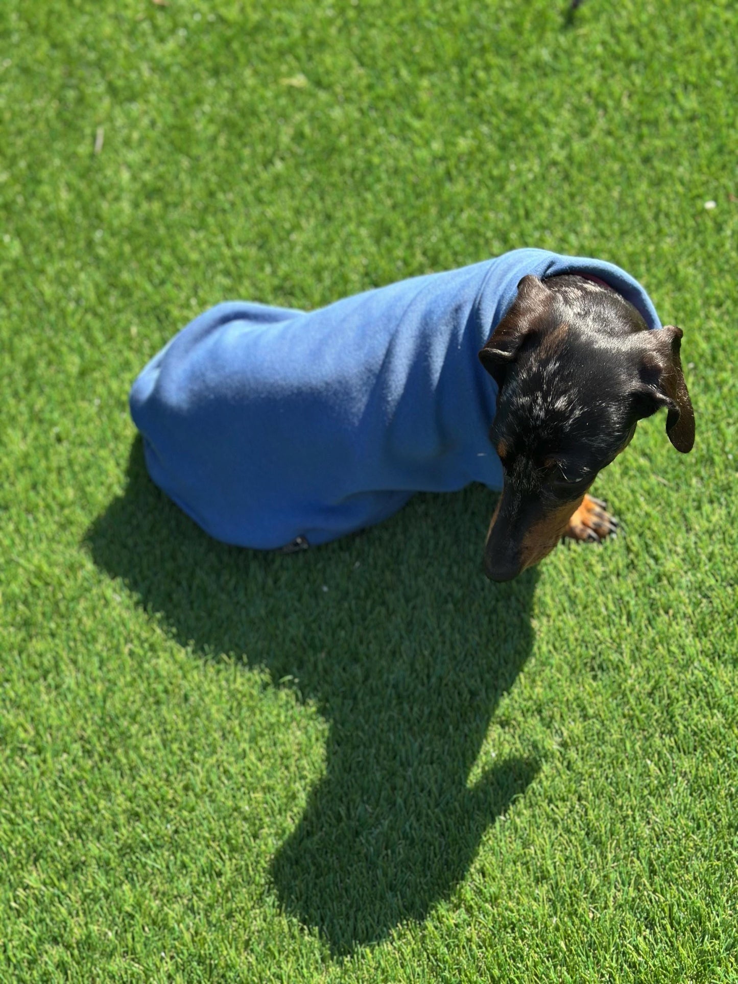 Dachshund Fleece Sweatshirt: Washable Dog Jumper