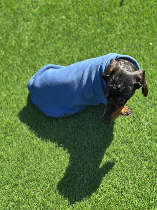 Dachshund Fleece Sweatshirt: Washable Dog Jumper