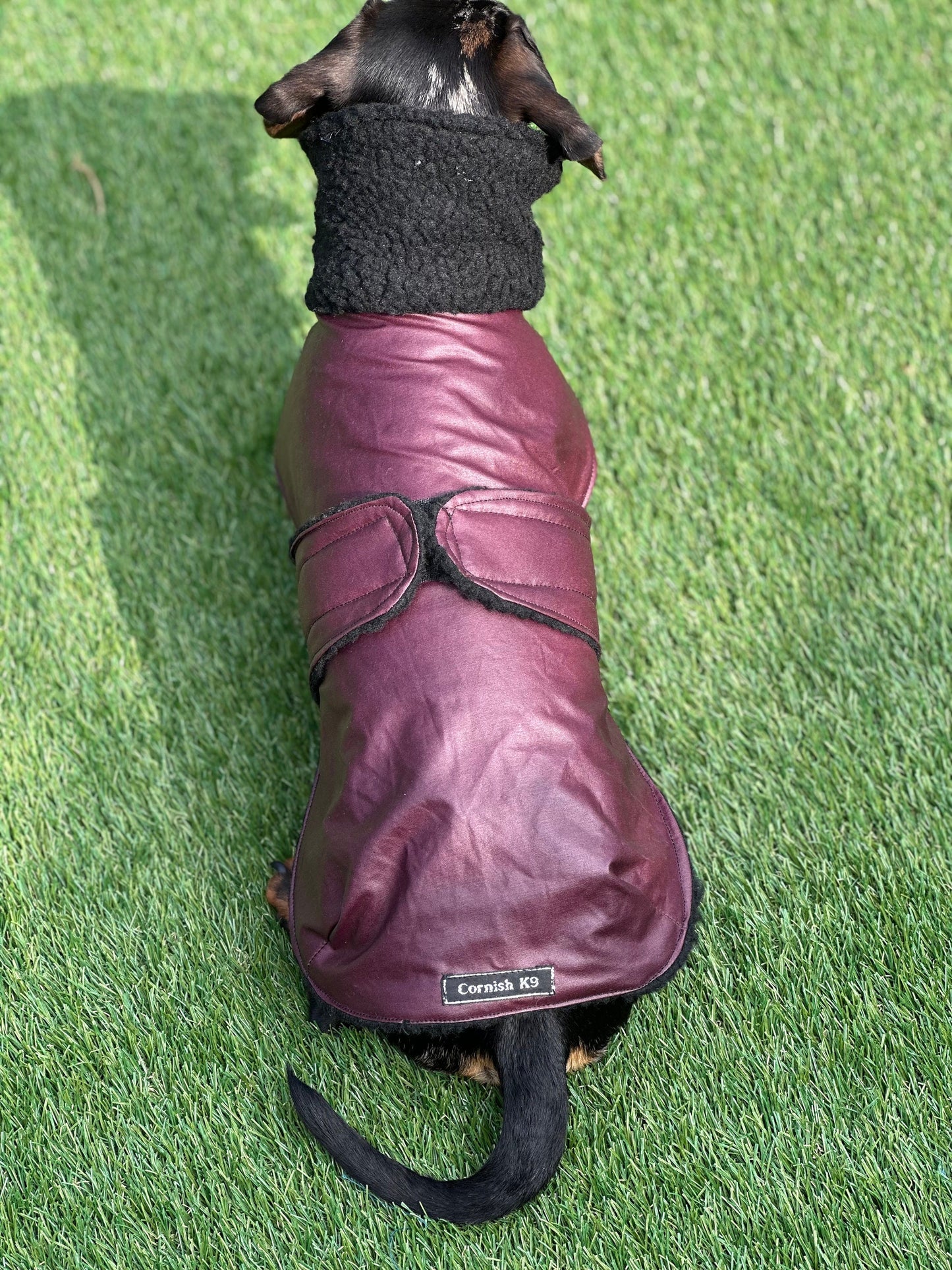 Dachshund Dry wax  dog coat,dog coat ,winter dog coat , dachshund coat ,belly covering dog coat,waterproof dachshund coat