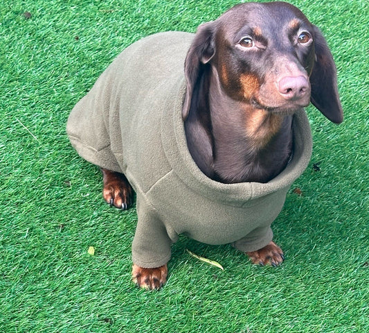 Dachshund Fleece Dog Jumper: Breathable, Water-Resistant, Embroidered