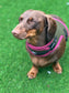 Dachshund harness ,dog harness ,dachshund dog vest ,no arm pit rub harness