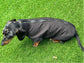 Dachshund Softshell zipped waterproof  jacket ,water repellent  jumper ,step in dog coat,   ,washable dog jacket, Mud Repellent