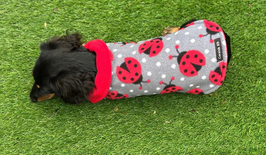 Dachshund Fleece Dog Coat: Double Layered, Harness Hole, Handmade