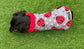 Dachshund Fleece Dog Coat: Double Layered, Harness Hole, Handmade