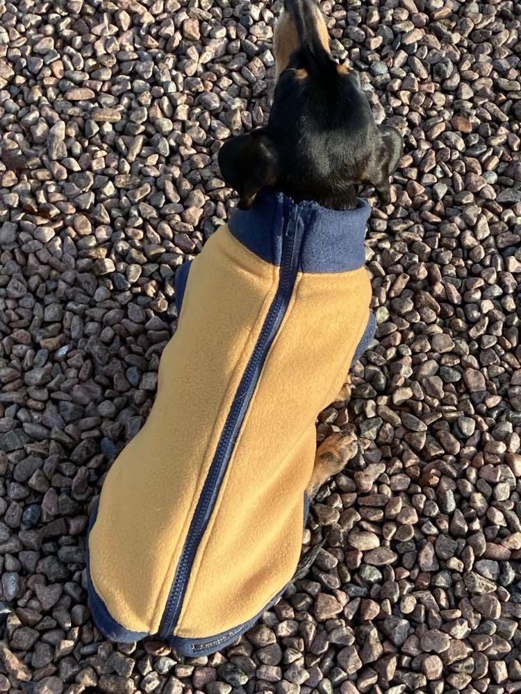 Dachshund zipped Fleece jumper ,dachshund  tankies, dog jumper, dog fleece ,washable dog jumper,ivdd jumper,dachshund fleece