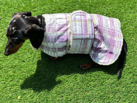 Dachshund water resistant dog coat, waterproof dog coat, shower proof dog coat ,pet lover, pet accessories,dachshund dog coat