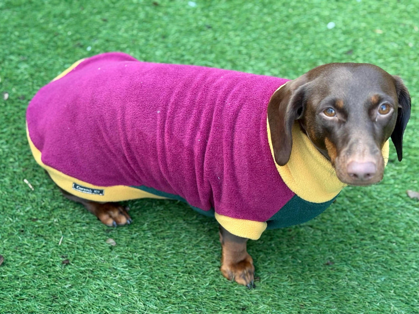 Personalized Dachshund Fleece Jumper: Water & Mud Repellent, Embroidered Name