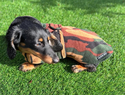 Fleece Dachshund Coat: Water Repellent Dog Jumper, Custom Fit