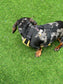 Waterproof Cordura Dachshund Harness: Padded Fleece Lined, No Choke