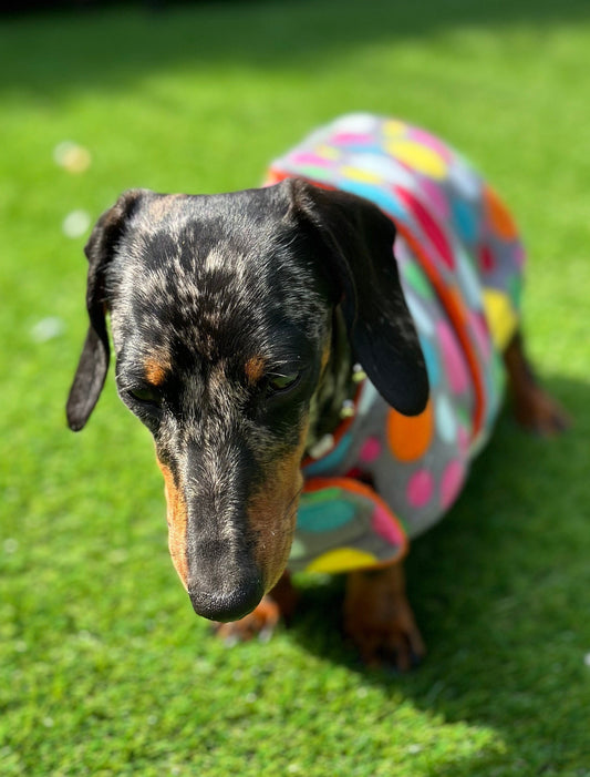 Polka Dot Dachshund Fleece Dog Coat: Water & Mud Repellent