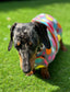 Polka Dot Dachshund Fleece Dog Coat: Water & Mud Repellent