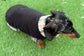 Beige Tartan Dachshund Fleece Jumper: Water & Mud Repellent