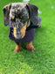 Harris Tweed Dachshund Coat: Fleece Lined Wool Dog Jacket