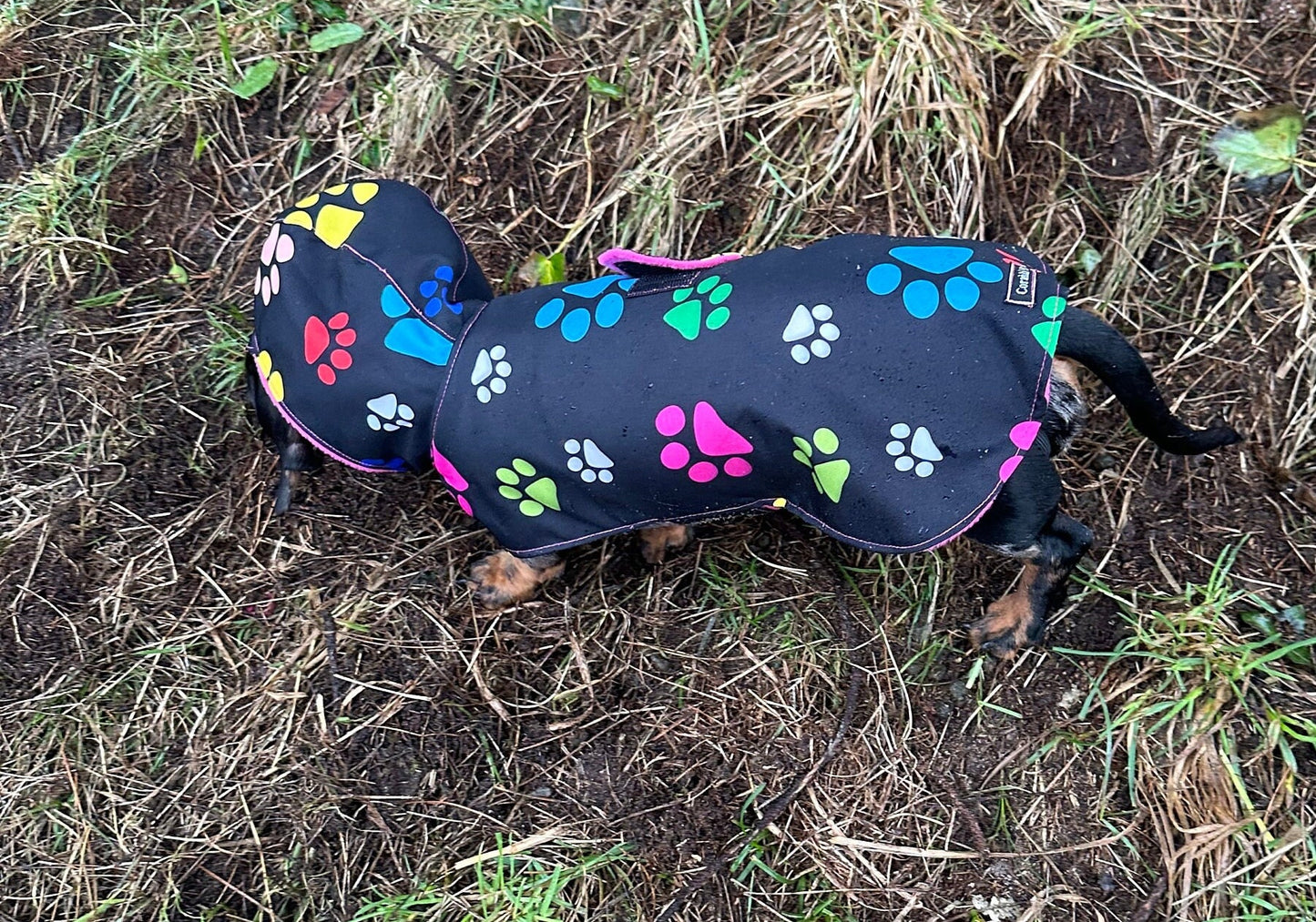 Waterproof Dachshund Raincoat: Fleece Lined Hooded Dog Coat