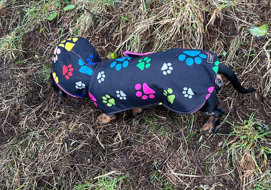 Waterproof Dachshund Raincoat: Fleece Lined Hooded Dog Coat