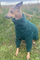 Italian greyhound Fleece suit  ,iggy fleece jumpsuit ,breathable dog jumper, iggy all in one ,Water & Mud Repellent dog suit,dog pyjamas