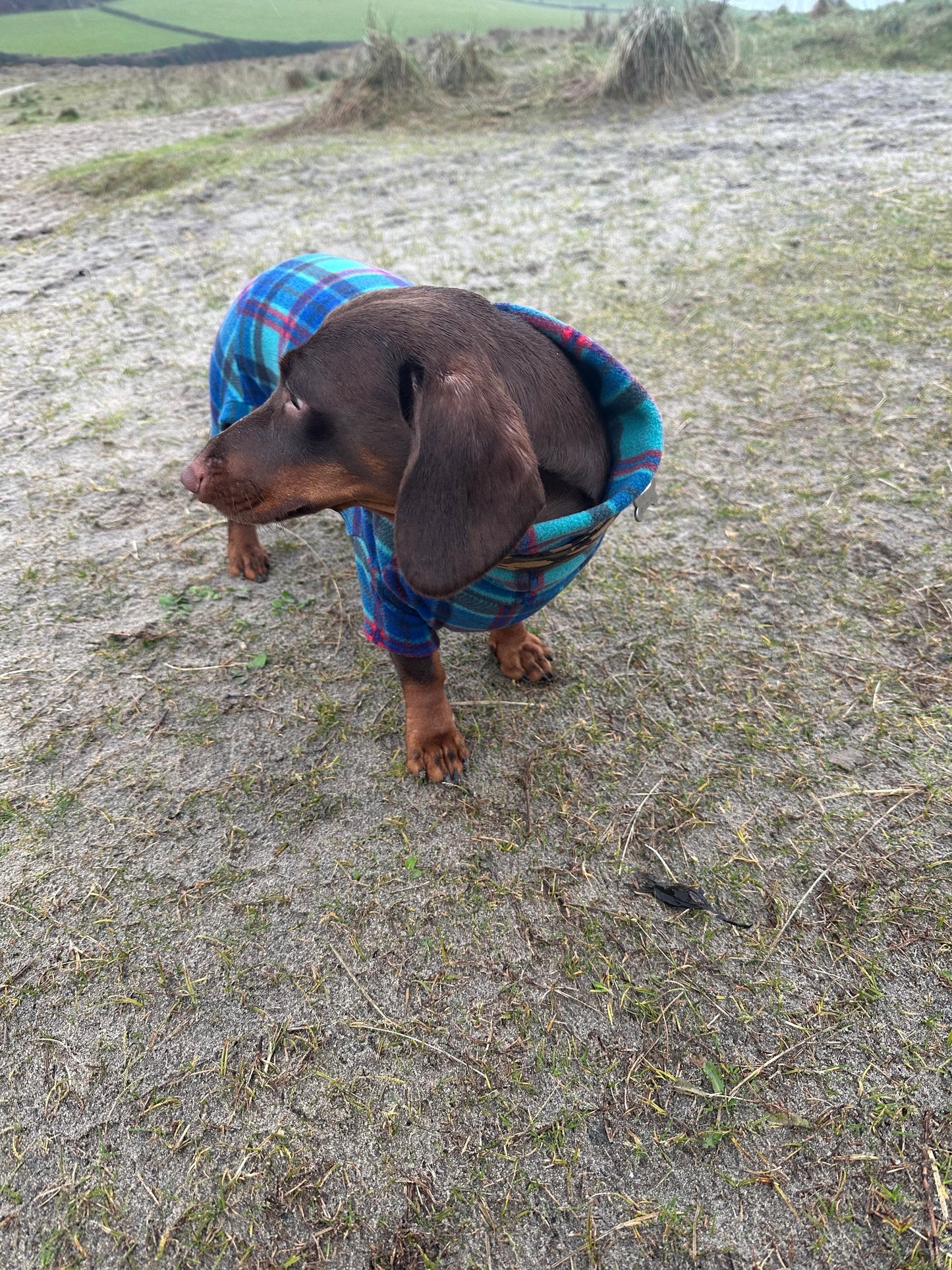 Tartan Fleece Dachshund Onesie: Water Repellent Dog Jumpsuit