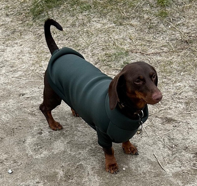 Dachshund Neoprene Jumper: Front Leg Dog Suit, Washable Dog Jumpsuit