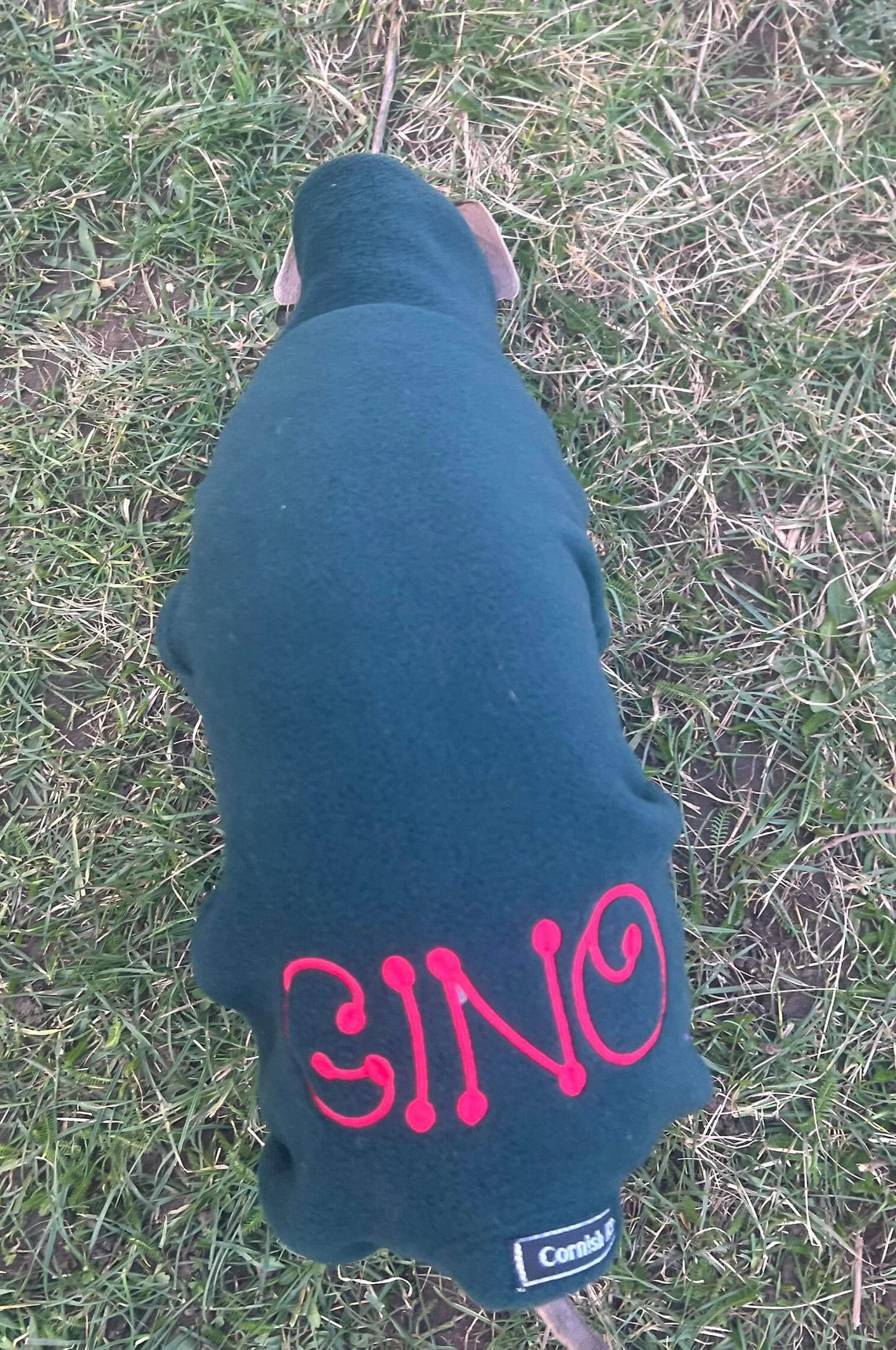 Italian Greyhound Fleece Onesie: Water Repellent Dog Jumpsuit.