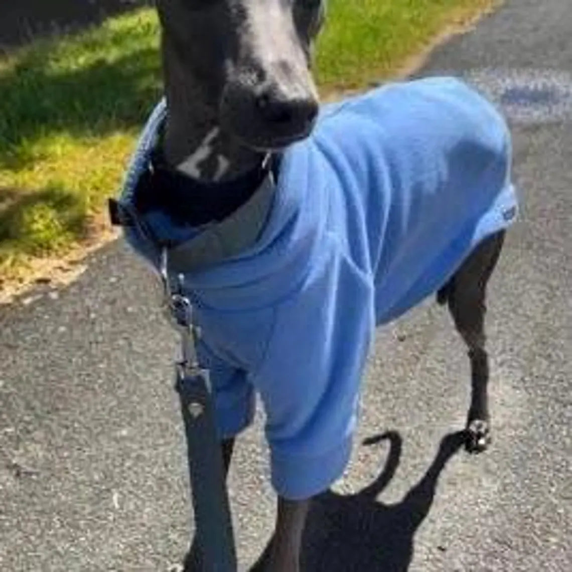 Italian Greyhound Fleece Jumper: Water & Mud Repellent Dog Jacket