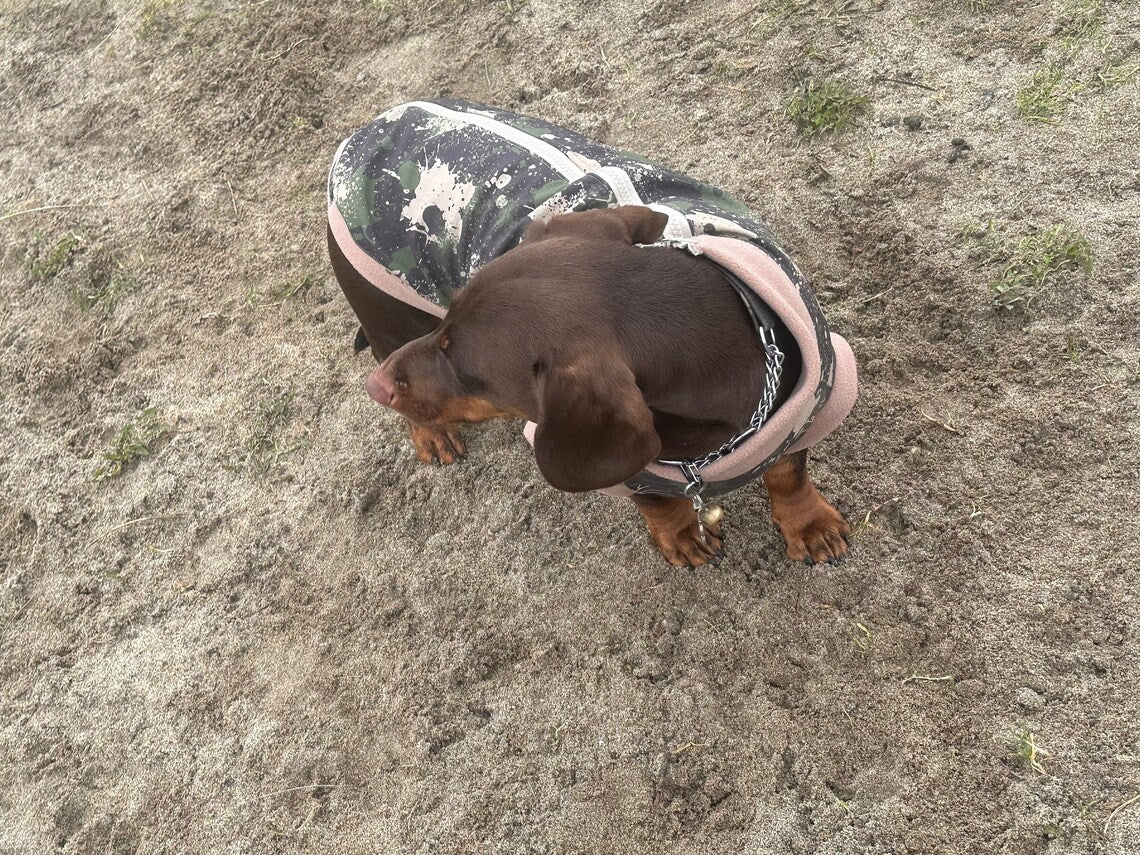 Water-Resistant Dachshund Fleece Jumper: Zipped Soft Shell, Handmade.