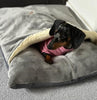 Personalized Dachshund Snuggle borrowing bed . Dog Bed Cave