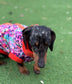 Dachshund Print Softshell Fleece Dog Jacket: Waterproof Jumper.