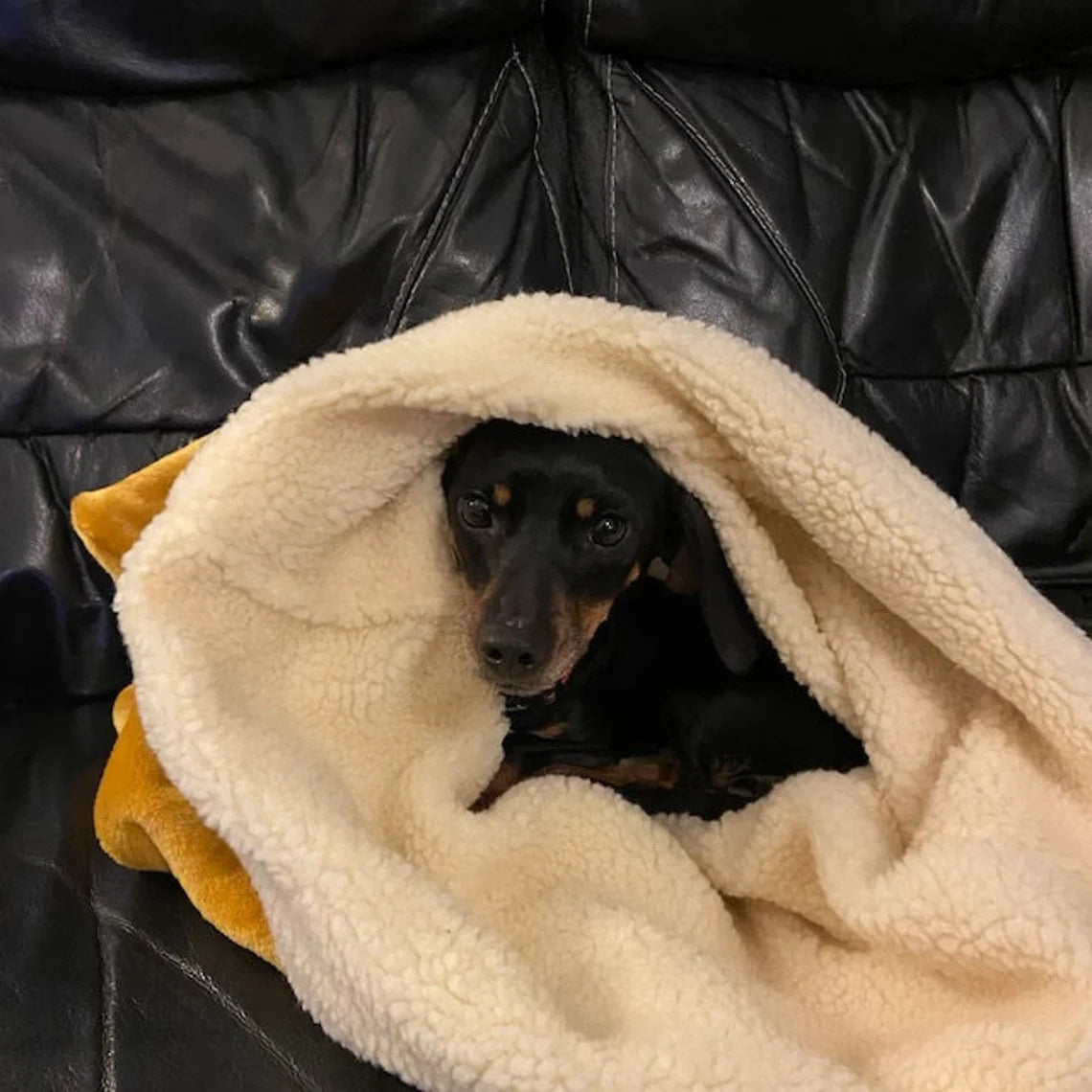 Personalized Dog Snuggle Sack: Cuddle Fleece Pet Warmer.