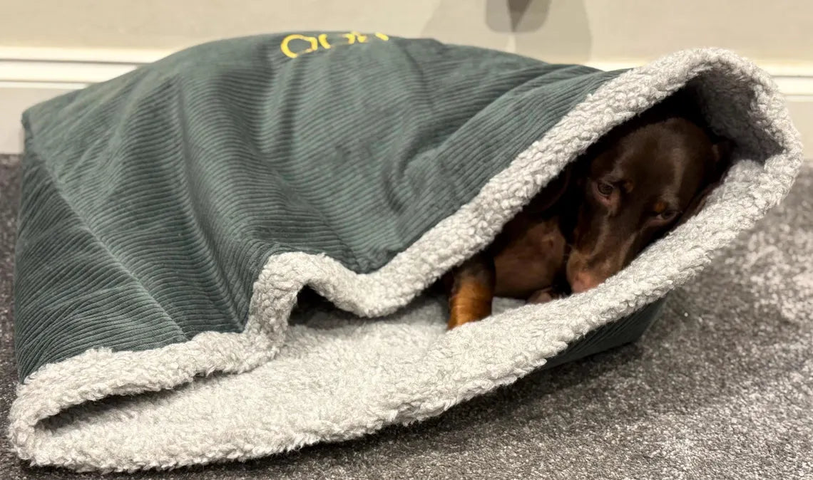 Padded Corduroy Dog Snuggle Sack: Sherpa Fleece Lined