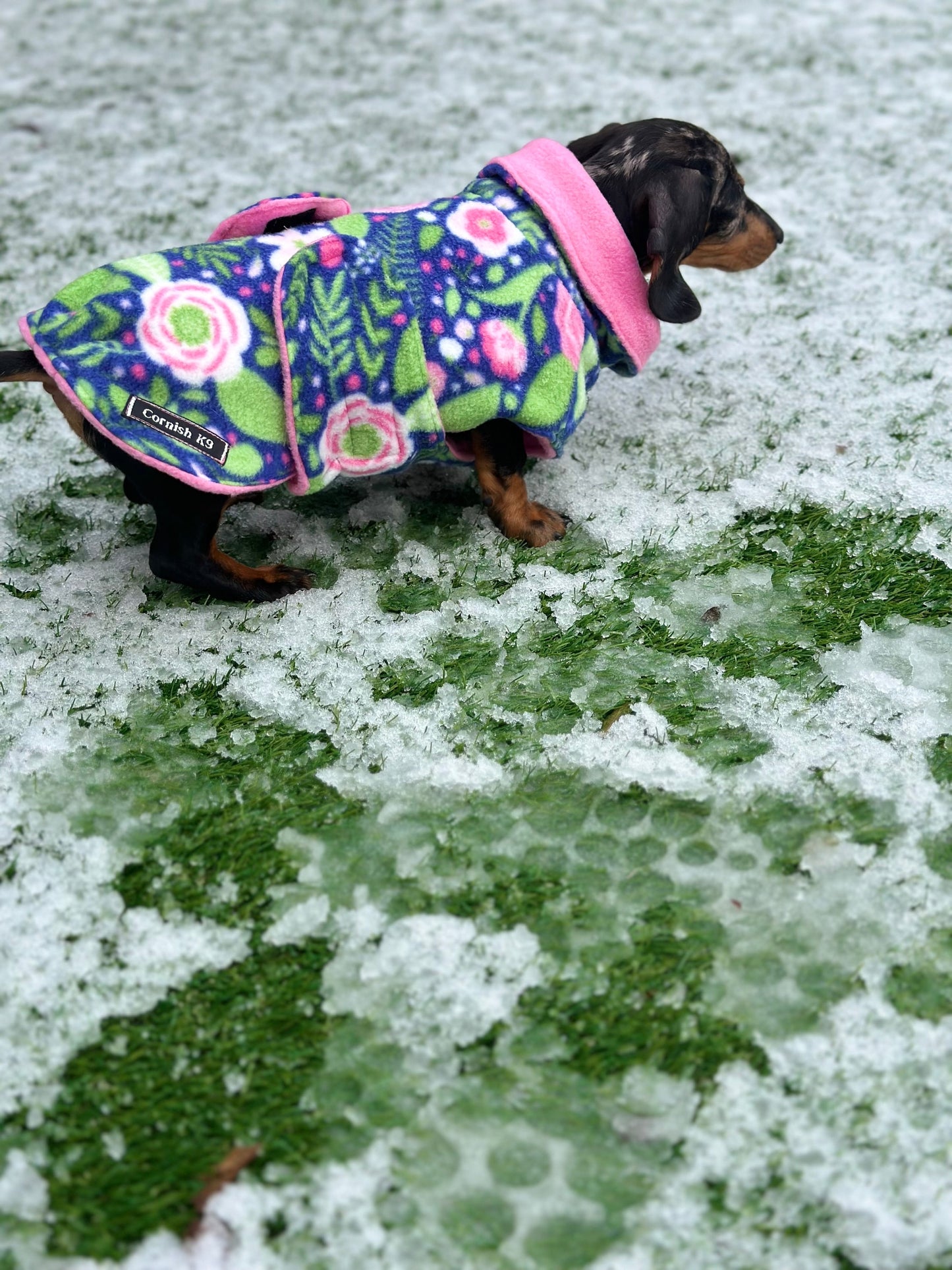 Fleece Dachshund Coat: Water Repellent Dog Jumper, Chest Covering