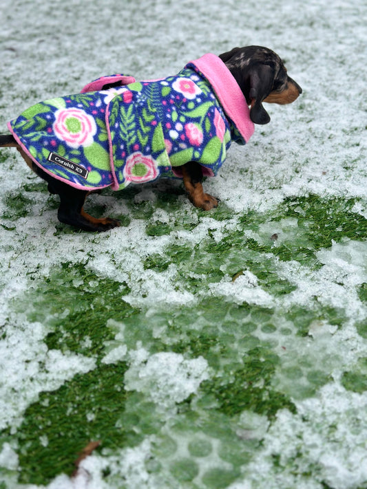 Fleece Dachshund Coat: Water Repellent Dog Jumper, Chest Covering