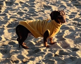 Personalized Dachshund Fleece Dog Jumper: Water Repellent, Breathable
