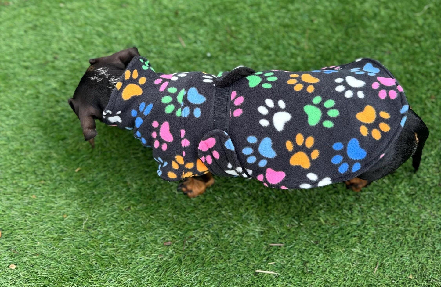 Fleece Dachshund Coat: Water Repellent Dog Jumper, Custom Fit