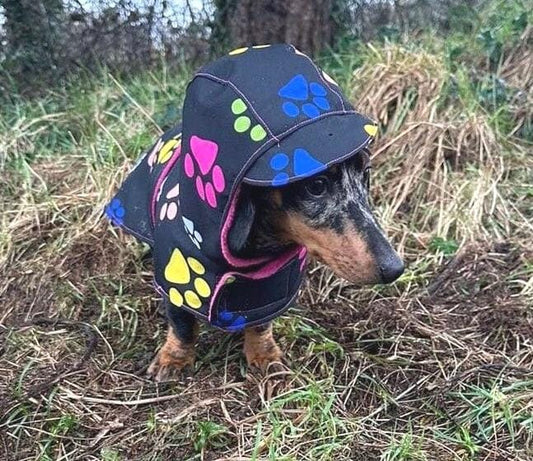 Waterproof Dachshund Raincoat: Fleece Lined Hooded Dog Coat