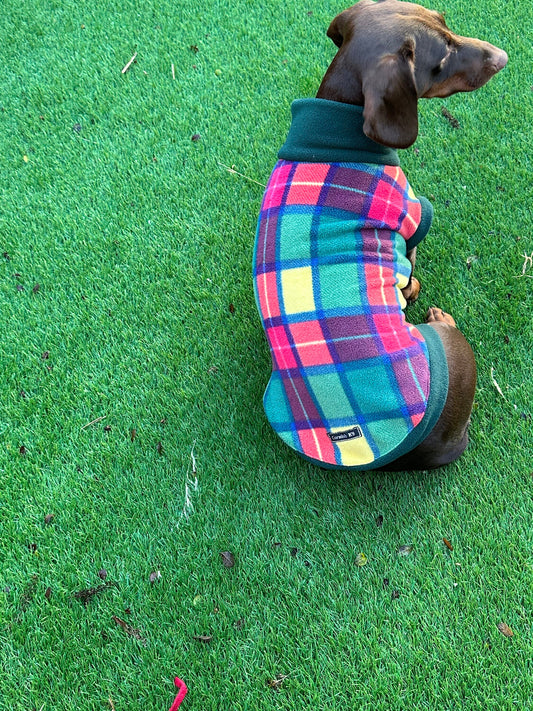 Tartan Dachshund Fleece Jumper: Waterproof Softshell Tummy, Cornish K9