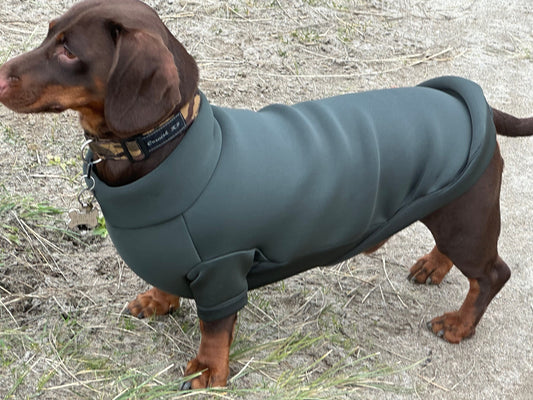 Dachshund Neoprene Jumper: Front Leg Dog Suit, Washable Dog Jumpsuit