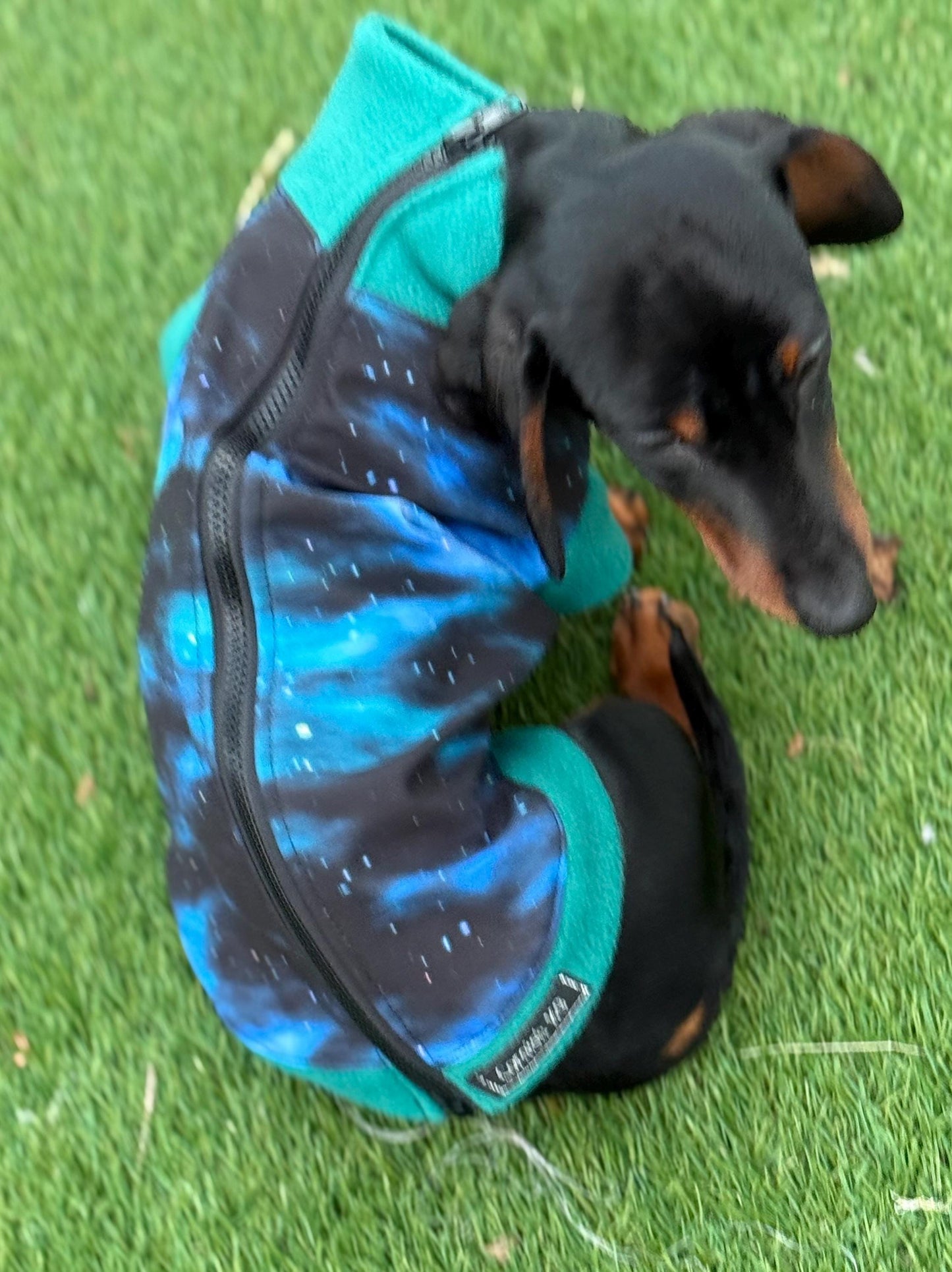 Dachshund  zipped Softshell waterproof  fleece ,dachshund zipped  jumper ,dachshund jacket,water and mud repellent fleece , dachshund fleece