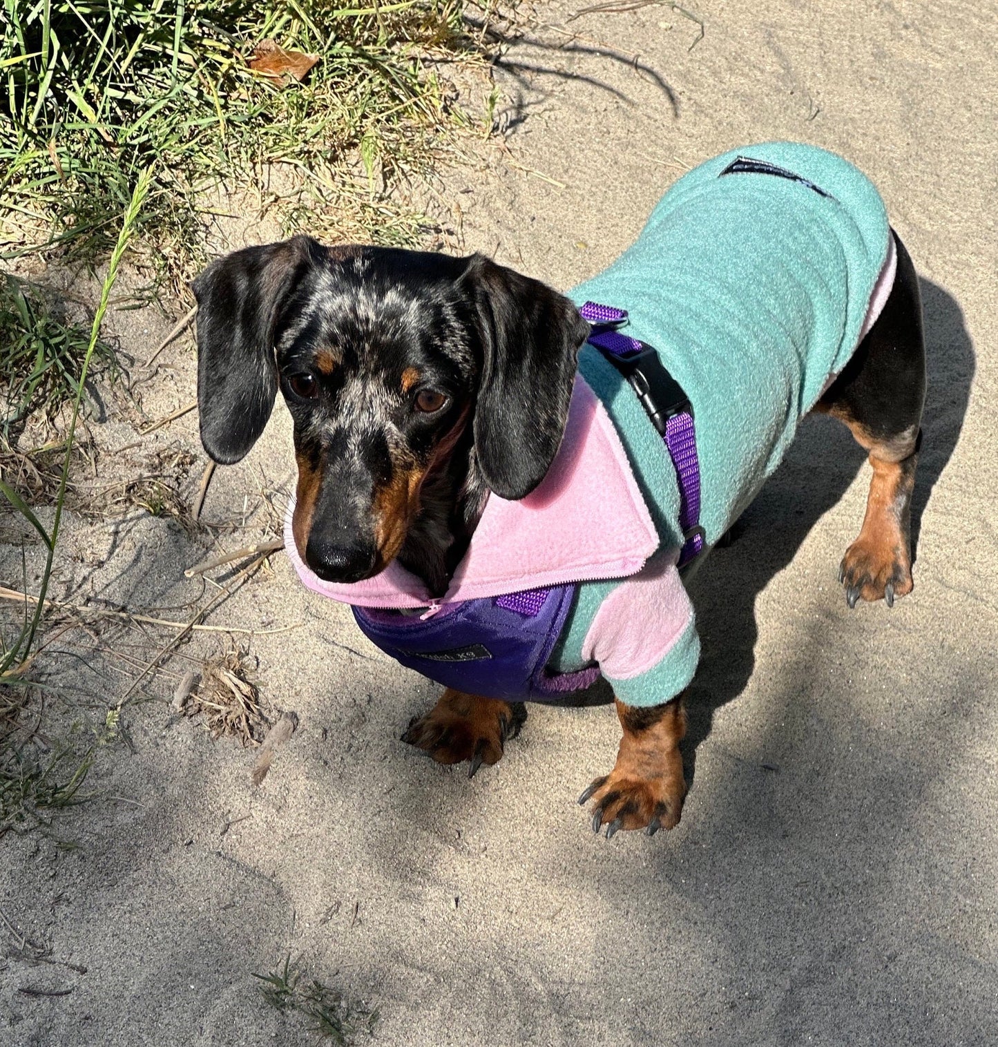 Dachshund  zipped neck  fleece ,dog jumper,dachshund legged jumper ,dachshund jumper , dachshund fleece,dachshund fleece jacket