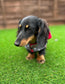 Dachshund Fleece Dog Coat: Double Layered, Harness Hole, Handmade